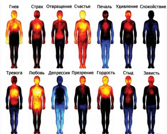 Эмоции в теле исследованые телесно-ориентированно